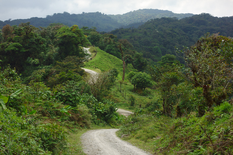 Région de Monteverde