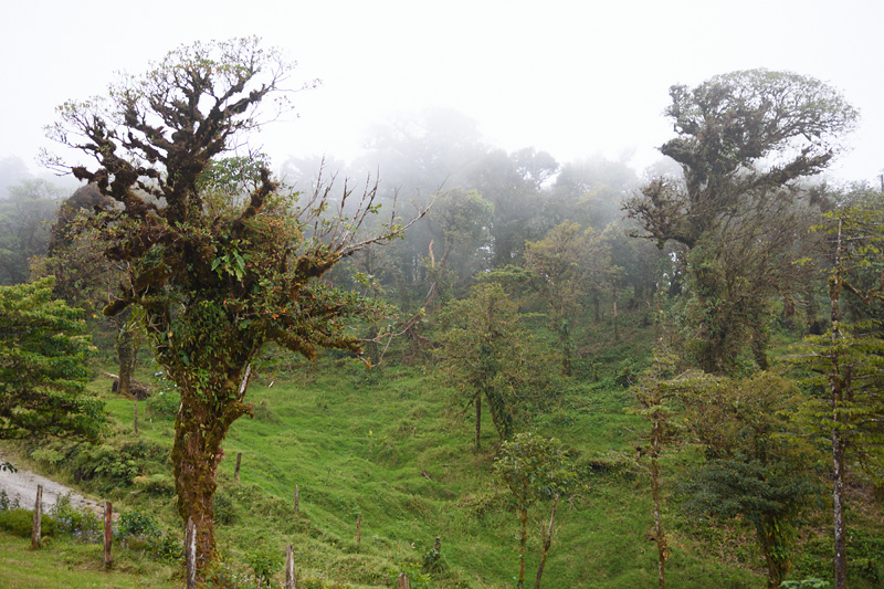 Région de Monteverde