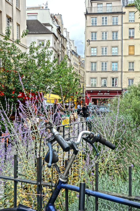 Square René Viviani - Paris 5ème