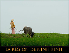 ninh binh - Le Vietnam en photos