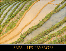 Sapa, les paysages - Vietnam - Photos de Julien Lebreton