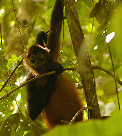 Images du Costa Rica par Julien Lebreton