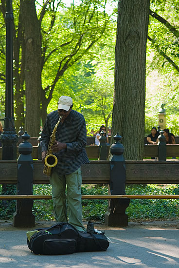 Musicien dans Central Park