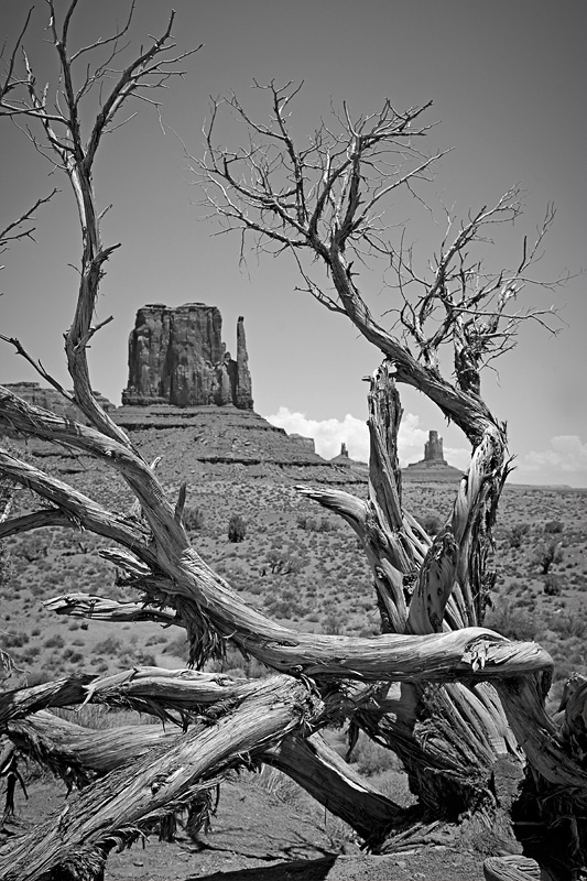 Monument Valley Tribal Park - AZ / UT