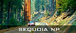 Sequoia National Park - Parc national de Sequoia