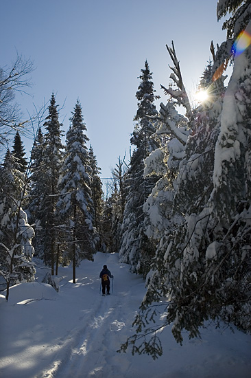 Auberge du petit bonheur