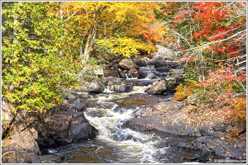 Parc de la rivière Doncaster